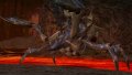 Monster Hunter Freedom 2