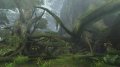 Monster Hunter 2nd G premi�res images