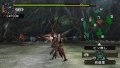 Monster Hunter 2nd G premi�res images