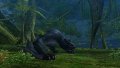 Monster Hunter 2nd G premi�res images