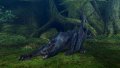 Monster Hunter 2nd G premi�res images