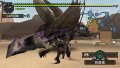 Monster Hunter 2nd G premi�res images