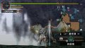 Monster Hunter Portable 2nd G s'exhibe