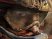 MotorStorm mord la poussière