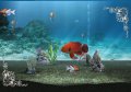 My Aquarium noie le poisson