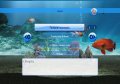 My Aquarium noie le poisson