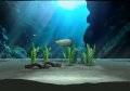 My Aquarium noie le poisson