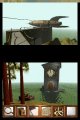 Myst