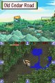 Mystery Dungeon : Shiren the Wanderer