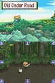 Mystery Dungeon : encore des images