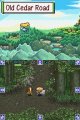 Mystery Dungeon : encore des images