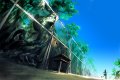 Naruto 360 : quelques artworks de Konoha