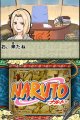 Naruto : Ninja Destiny