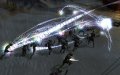 NWN 2 : Storm of Zehir s'affiche