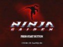 Ninja Gaiden