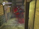 Ninja Gaiden