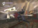 Ninja Gaiden