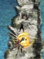 Ninja Gaiden DS s'illustre enfin !