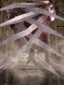 Ninja Gaiden DS s'illustre enfin !