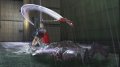 Ninja Gaiden II