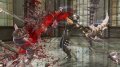 Ninja Gaiden II saigne en images