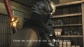 Ninja Gaiden II