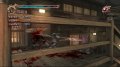 Ninja Gaiden II