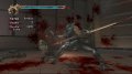 Ninja Gaiden II
