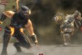 Ninja Gaiden Sigma sur la toile