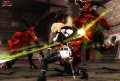 Ninja Gaiden Sigma sur la toile