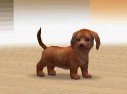 Nintendogs