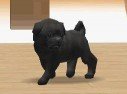 Nintendogs