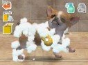 Nintendogs