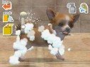 Nintendogs