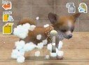 Nintendogs
