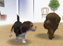 Nintendogs