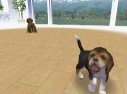 Nintendogs