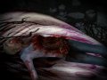 Obscure II