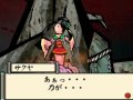 Okami Den : premi�res images