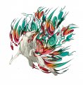 Okami Wii : une horde d'artworks