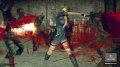 Oneechanbara vorteX illustr�