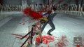 Oneechanbara vorteX illustr�