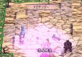 Phantom Brave Wii : le plein d'images