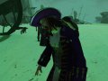 Pirates of The Burning Sea s'illustre