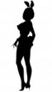 Le plein de Playboy : The Mansion