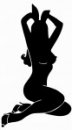 Le plein de Playboy : The Mansion