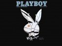 Playboy : The Mansion