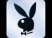 Les Bunnies hibernent