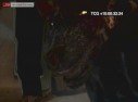 Prince of Persia : L'Ame du Guerrier