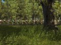 Pro Cycling Manager 2008 s'illustre